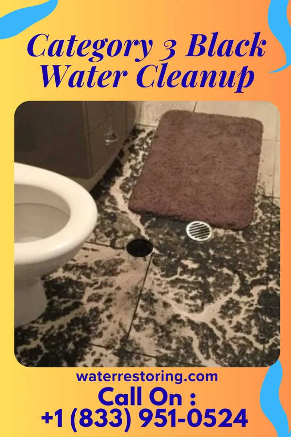 Category 3 Black Water Cleanup in Douglas, ND