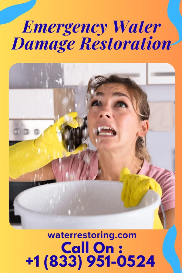 Emergency Water Damage Restoration in Douglas, ND
