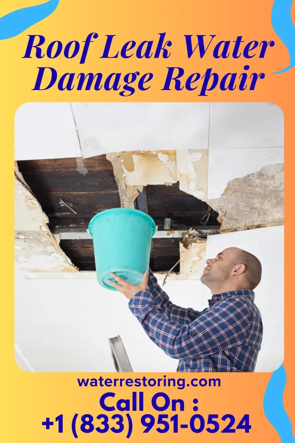 Roof Leak Water Damage Repair in Douglas, ND