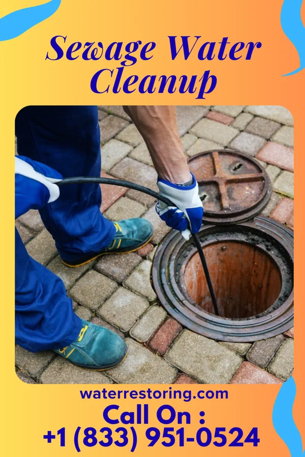 Sewage Water Cleanup in Douglas, ND