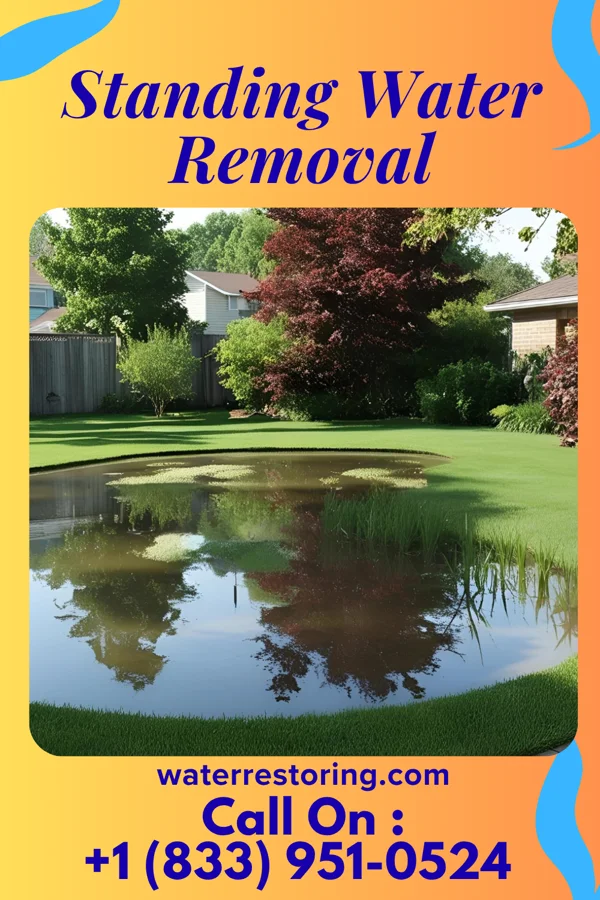 Standing Water Removal in Douglas, ND